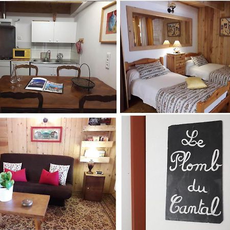 Meuble De Tourisme La Jaulipiere Apartment Joursac Ngoại thất bức ảnh