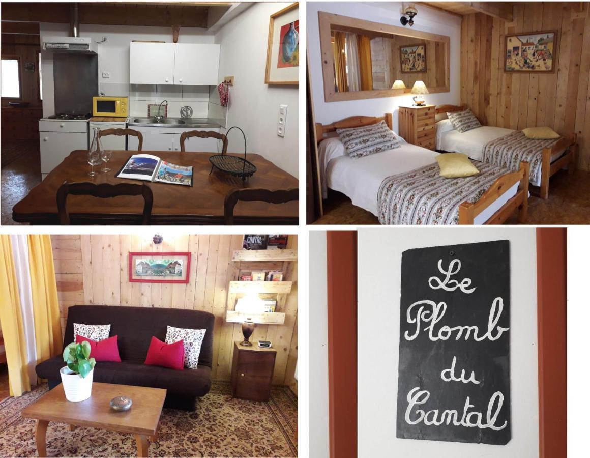 Meuble De Tourisme La Jaulipiere Apartment Joursac Ngoại thất bức ảnh